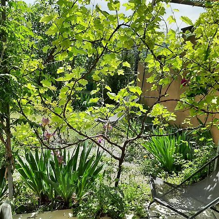 Ferienwohnung T.Belle Vue Panoramique Au Coeur Du Luberon 40M2 + Pergola . Jardin. P Apt Exterior foto